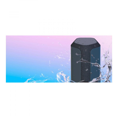 Портативна колонка Sony SRS-XE300 Black (SRSXE300B.RU2)