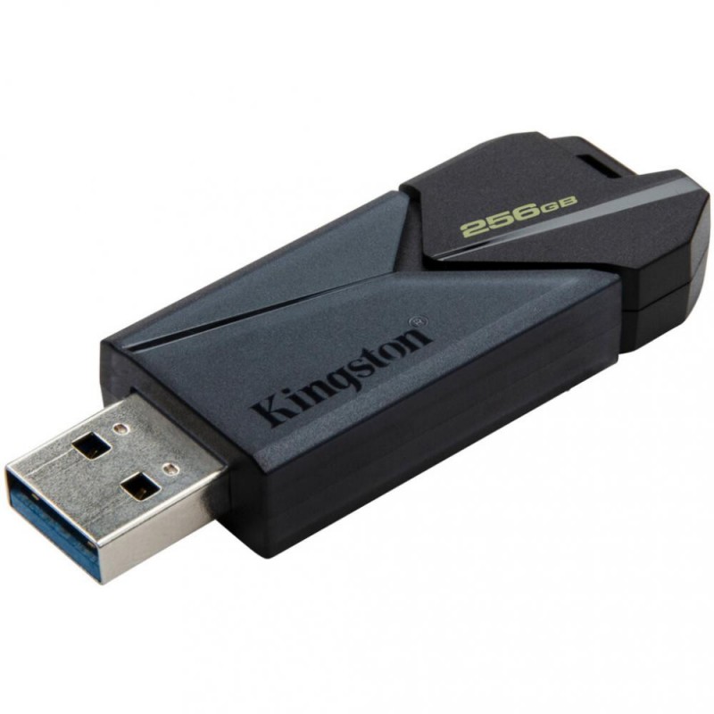 Флешка Kingston 256 GB DataTraveler Exodia Onyx USB 3.2 Gen 1 Black (DTXON/256GB)