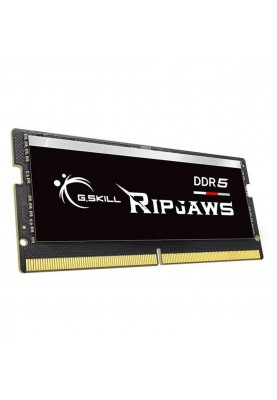 Пам'ять для ноутбуків G.Skill 16 GB SO-DIMM DDR5 4800 MHz Ripjaws (F5-4800S3434A16GX1-RS)