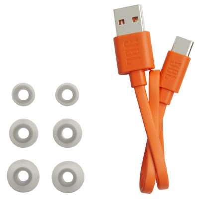 Навушники TWS JBL Wave 100 Silver (JBLW100TWSIVR)