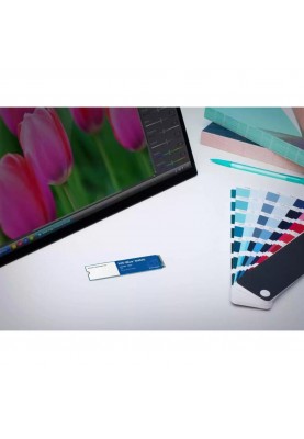 SSD накопичувач WD Blue SN570 500 GB (WDS500G3B0C)