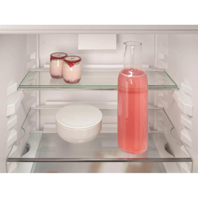 Холодильник із морозильною камерою Liebherr ICBd 5122