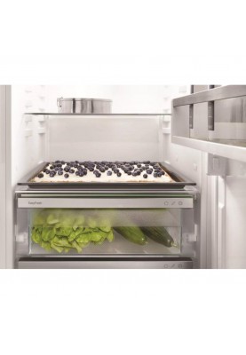 Холодильник із морозильною камерою Liebherr ICe 5103