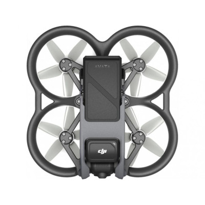 Квадрокоптер DJI Avata Pro View Combo (CP.FP.00000101.01)