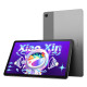 Планшет Lenovo Xiaoxin Pad 2022 4/64GB Wi-Fi Grey (ZAAM0078)