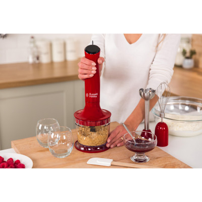 Занурювальний блендер Russell Hobbs 24700-56
