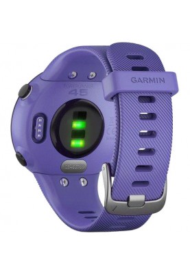 Спортивний годинник Garmin Forerunner 45s Iris (010-02156-11/010-02156-01)