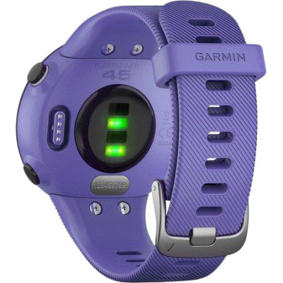 Спортивний годинник Garmin Forerunner 45s Iris (010-02156-11/010-02156-01)