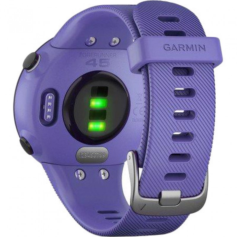 Спортивний годинник Garmin Forerunner 45s Iris (010-02156-11/010-02156-01)