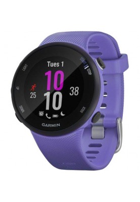 Спортивний годинник Garmin Forerunner 45s Iris (010-02156-11/010-02156-01)