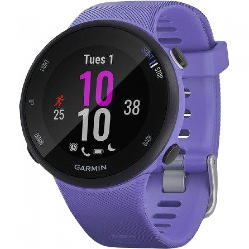 Спортивний годинник Garmin Forerunner 45s Iris (010-02156-11/010-02156-01)