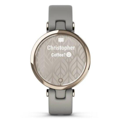 Смарт-годинник Garmin Lily Classic Cream Gold-Grey (010-02384-B2) Смарт-годинник Garmin Lily Classic Cream Gold-Grey (010-02384-B2)