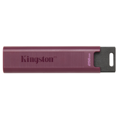 Флешка Kingston 256 GB DataTraveler Max USB 3.2 Gen 2 (DTMAXA/256GB)