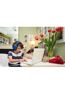 Навушники із мікрофоном JBL JR460NC Blue (JBLJR460NCBLU)