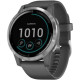 Смарт-годинник Garmin vivoactive 4 Shadow Gray/Silver (010-02174-03/010-02174-01)