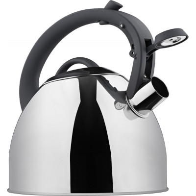 Чайник Ardesto Gemini AR1947KS