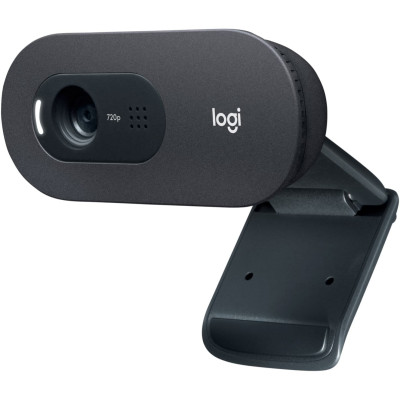 Вебкамера Logitech HD Webcam C505 (960-001364)