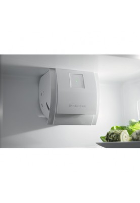 Холодильник із морозильною камерою Electrolux RNT3FF18S