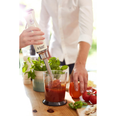 Занурювальний блендер Russell Hobbs Retro 25232-56
