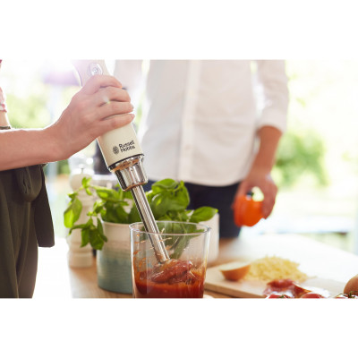 Занурювальний блендер Russell Hobbs Retro 25232-56
