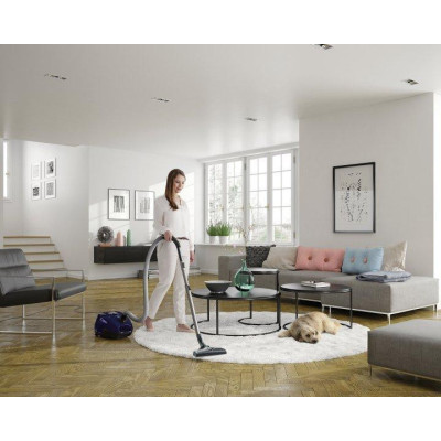 Пилосос із мішком Electrolux SilentPerformer ESP74DB