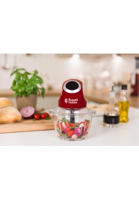 Подрібнювач Russell Hobbs 24660-56