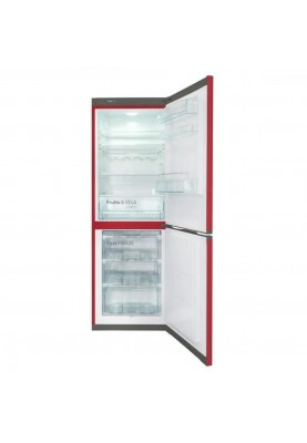 Холодильник із морозильною камерою Snaige RF56SM-S5RB2E