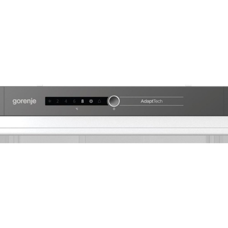 Холодильна камера Gorenje RI2181A1