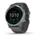 Смарт-годинник Garmin vivoactive 4 Shadow Gray/Silver (010-02174-01)
