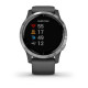 Смарт-годинник Garmin vivoactive 4 Shadow Gray/Silver (010-02174-01)