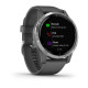 Смарт-годинник Garmin vivoactive 4 Shadow Gray/Silver (010-02174-01)
