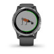 Смарт-годинник Garmin vivoactive 4 Shadow Gray/Silver (010-02174-01)
