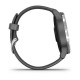 Смарт-годинник Garmin vivoactive 4 Shadow Gray/Silver (010-02174-01)
