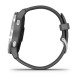 Смарт-годинник Garmin vivoactive 4 Shadow Gray/Silver (010-02174-01)