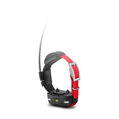 Спортивний годинник Garmin Alpha 100 TT15 Dog GPS (010-01486-00)