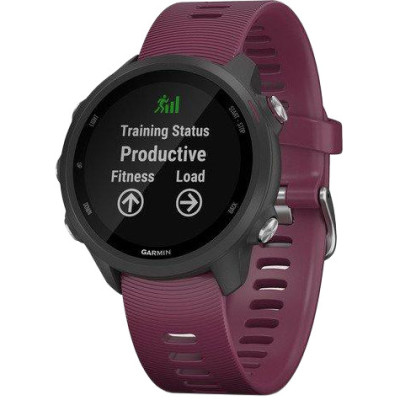 Спортивний годинник Garmin Forerunner 245 HR GPS Watch (010-02120-01)