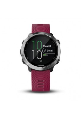 Спортивний годинник Garmin Forerunner 645 GPS Watch (010-01863-21)