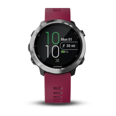 Спортивний годинник Garmin Forerunner 645 GPS Watch (010-01863-21)