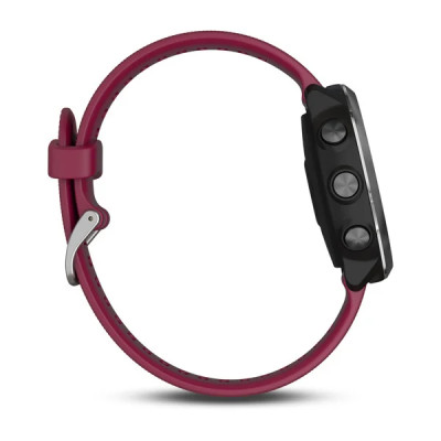 Спортивний годинник Garmin Forerunner 645 GPS Watch (010-01863-21)