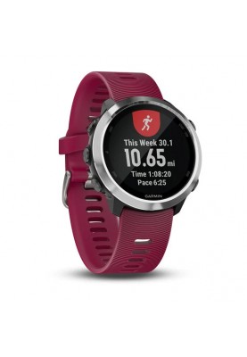 Спортивний годинник Garmin Forerunner 645 GPS Watch (010-01863-21)