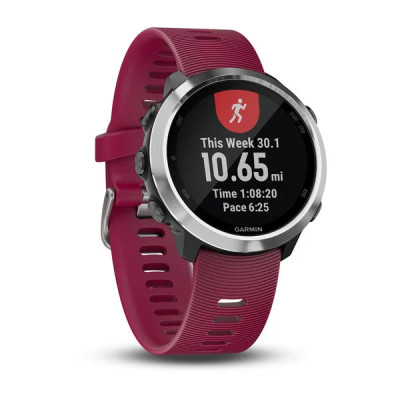 Спортивний годинник Garmin Forerunner 645 GPS Watch (010-01863-21)