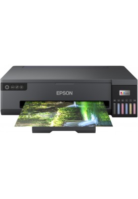 Принтер Epson L18050 (C11CK38402)