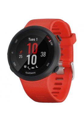 Спортивний годинник Garmin Forerunner 45 Lava Red (010-02156-16)