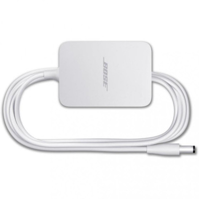 Smart колонка Bose Home Speaker 300 Silver (808429-2300)