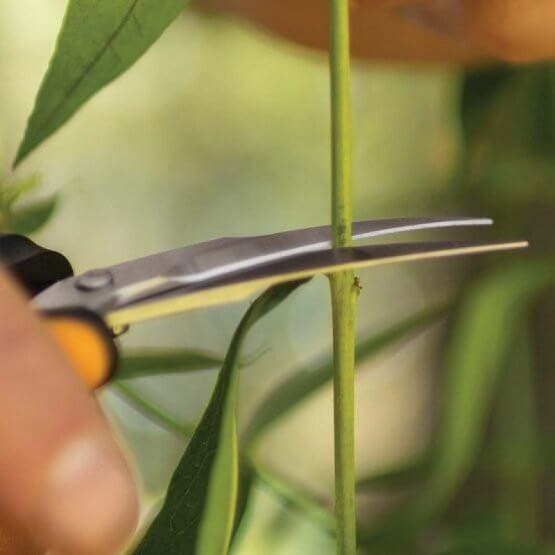 Ножиці садові Fiskars SP160 (1063325)