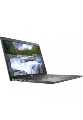 Ноутбук Dell Latitude 3301 Black (N024L330113EMEA_P)