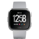 Смарт-годинник Fitbit Versa Lite Gray/Silver Aluminum