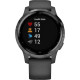 Смарт-годинник Garmin vivoactive 4S Black/Slate (010-02172-13/010-02172-11)