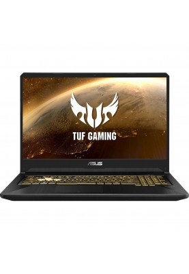 Ноутбук ASUS TUF Gaming FX705DU (FX705DU-H7087)