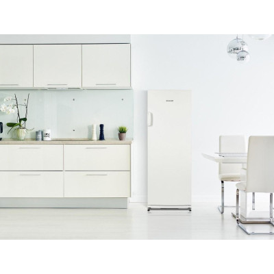 Холодильна камера Snaige C31SM-T1002F